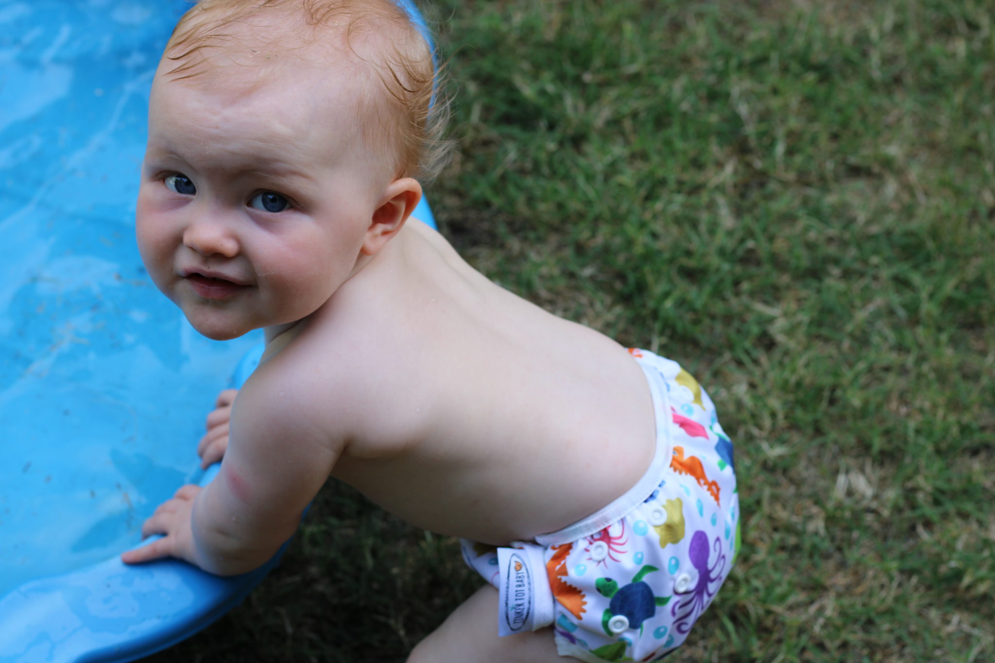 Reusable Swim Nappy Under the Sea Tinker Tot Baby